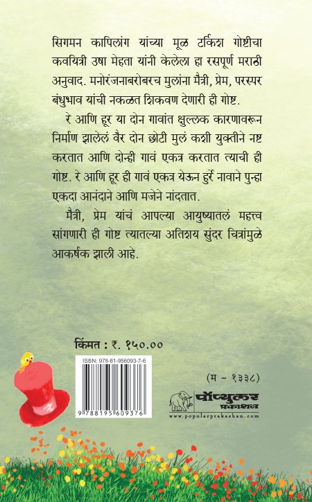 Tee Pandhri Resha_back Cover